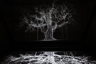 Albion, 2017 (projektor, odtwarzacz multimedialny, rusztowanie, przezroczysta folia, drewno, farba, lustro, akcesoria do rozciągania) autorstwa Mat Collishaw