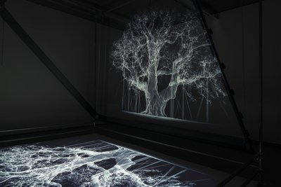 Albion, 2017 (projektor, odtwarzacz multimedialny, rusztowanie, przezroczysta folia, drewno, farba, lustro, akcesoria do rozciągania) autorstwa Mat Collishaw