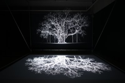 Albion na wystawie "Petrichor" autorstwa Mata Collishawa w Kew Gardens w Londynie, 2023 r. (zdjęcie ilustracyjne) autorstwa Mat Collishaw