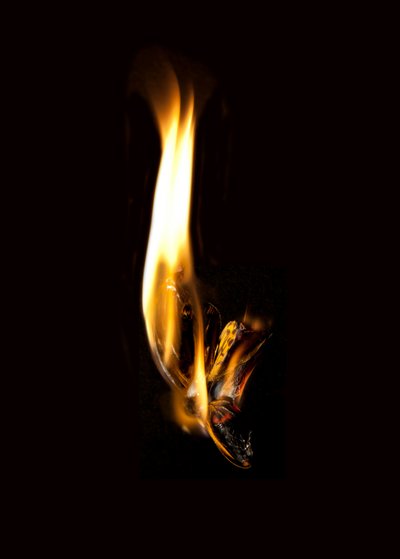 Płonący motyl 2, 2013 (druk Lambda) autorstwa Mat Collishaw