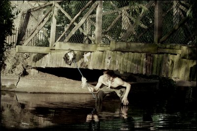 Łapanie wróżek 1 autorstwa Mat Collishaw