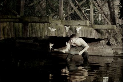 Łapanie wróżek 4 autorstwa Mat Collishaw