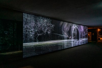 Echolokacja, 2021 (3-kanałowa projekcja wideo na siatce polipropylenowej) autorstwa Mat Collishaw
