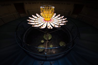 Equinox, 2021 (akryl, obwody elektryczne, hydraulika, lakier, silnik, farba, żywica z recyklingu, stal) autorstwa Mat Collishaw