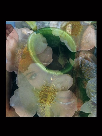 Flesheaters 2 autorstwa Mat Collishaw