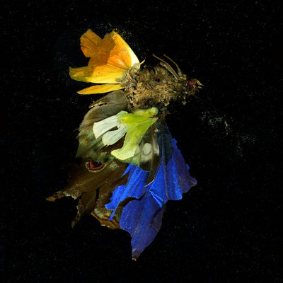 Insecticide 15, 2009 (zdjęcie typu C) autorstwa Mat Collishaw