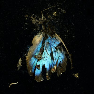 Insecticide 16, 2009 (zdjęcie typu C) autorstwa Mat Collishaw