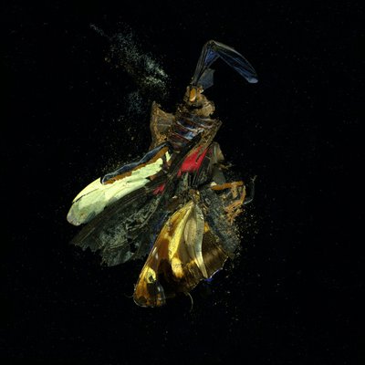 Insecticide 18, 2009 (zdjęcie typu C) autorstwa Mat Collishaw