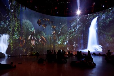 Sordid Earth, 2011 (instalacja wideo, dysk twardy, silikon, stal) autorstwa Mat Collishaw