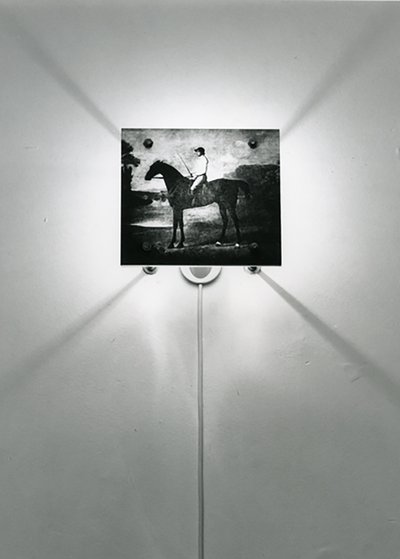 Stubbs Horses autorstwa Mat Collishaw