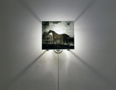 Stubbs Horses autorstwa Mat Collishaw