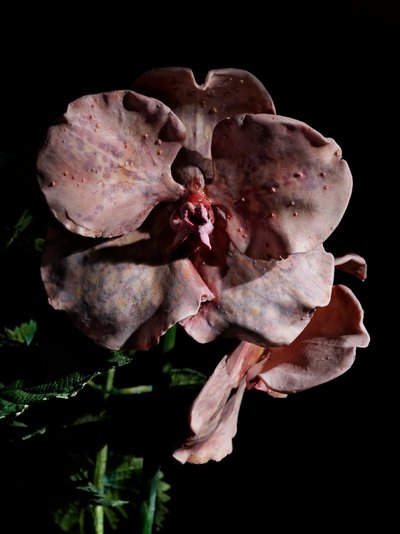Venal Muse, Impetus, 2012 (żywica, emalia, drewno, szkło, stal) autorstwa Mat Collishaw