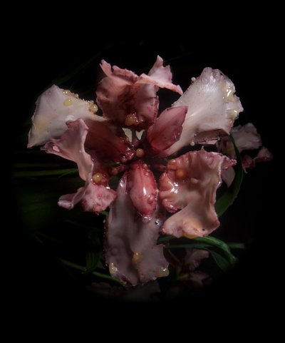 Venal Muse, Viridor, 2012 (żywica, emalia, drewno, szkło, stal) autorstwa Mat Collishaw
