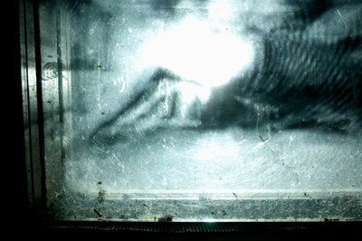 Wormery, 2009 (drewno, szkło, stal, projektor i odtwarzacz) autorstwa Mat Collishaw