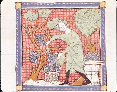 Fol.59r września: Żniwa autorstwa Matfre Ermengaut