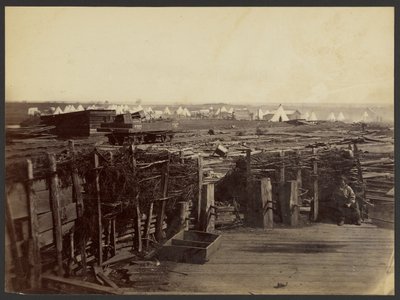 [Fortyfikacje, Manassas, zajęte przez 13 Mass.] autorstwa Mathew B. Brady