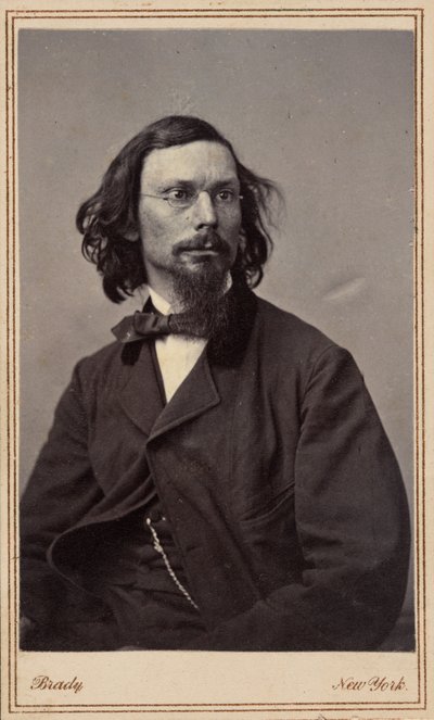 George Inness autorstwa Mathew B. Brady