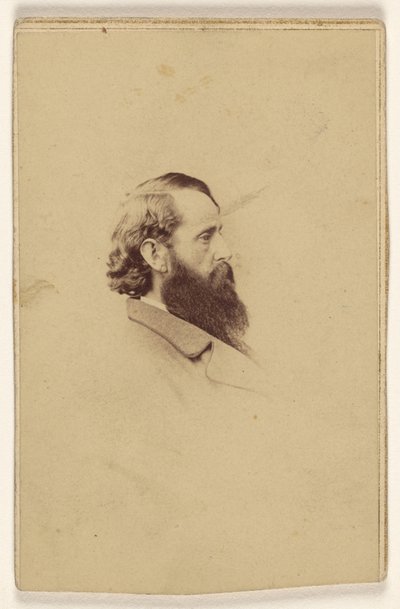 [Niezidentyfikowany mężczyzna z długą brodą z profilu]. autorstwa Mathew B. Brady