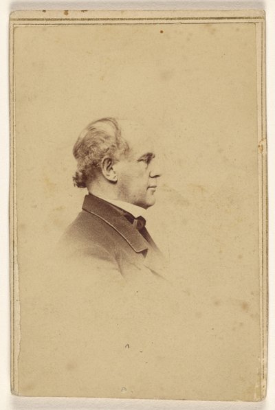 [Niezidentyfikowany mężczyzna z profilu, wydrukowany w stylu winiety] autorstwa Mathew B. Brady