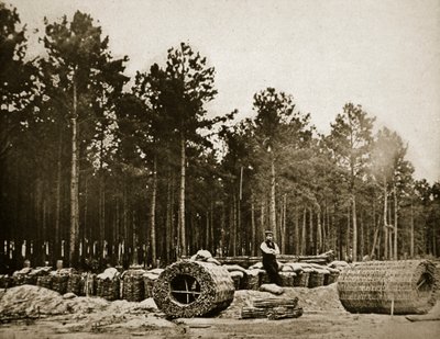 Tworzenie gabionów przed Petersburgiem, 1861-65 autorstwa Mathew B. Brady