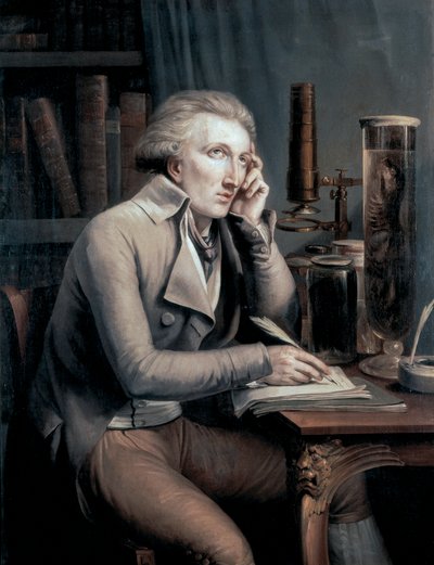 Portret Georgesa Leopolda Cuvier autorstwa Mathieu Ignace van Bree