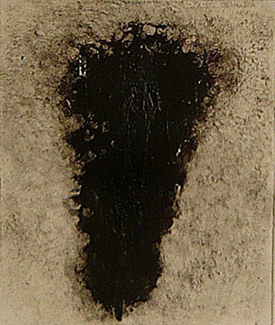 ossie, 2009 (helioprint) autorstwa Matthew Hilton
