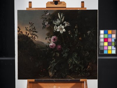 Martwa natura (olej na płótnie) autorstwa Matthias Withoos