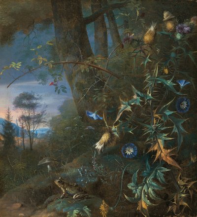 dno lasu martwa natura z żabą i grzybem, za nimi góry autorstwa Matthias Withoos