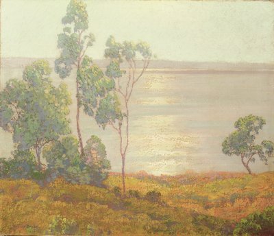 Poranne słońce, San Diego (olej na płótnie) autorstwa Maurice Braun