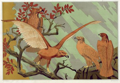 Orły, wyd. 1897. autorstwa Maurice Pillard Verneuil