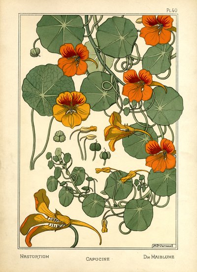 Nasturcja (kolor lito) autorstwa Maurice Pillard Verneuil