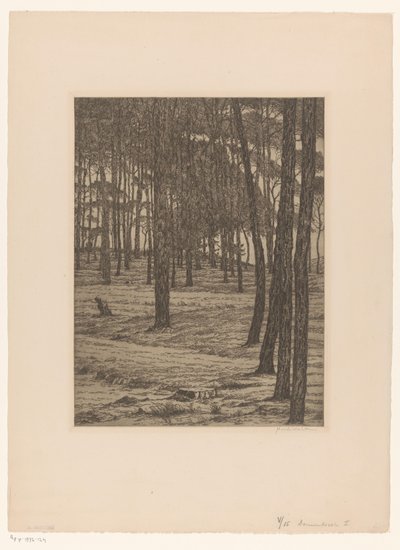 Dennenbosch I (oryginalny tytuł na obiekcie) Bos (oryginalny tytuł) autorstwa Maurits van der Valk (signed by artist)