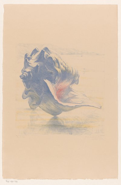 Powłoka autorstwa Maurits van der Valk (signed by artist)