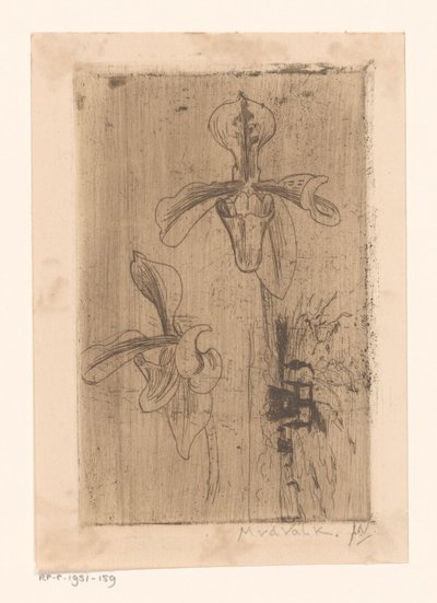 Dwie orchidee i wózek na plaży autorstwa Maurits van der Valk (signed by artist)