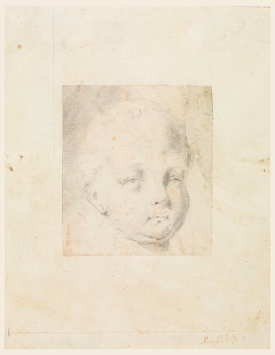 Rysunek, Studium: Głowa chłopca, 1810-34 autorstwa Mauro Gandolfi