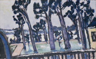 Widok na Hawelę z Rupenhornu autorstwa Max Beckmann