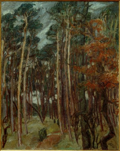 Las Hermsdorfski w szary dzień autorstwa Max Beckmann