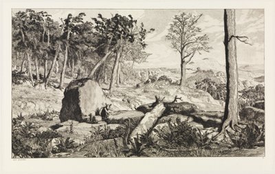 Simplicius w leśnej głuszy (Intermezzi, opus IV, plansza 10) autorstwa Max Klinger