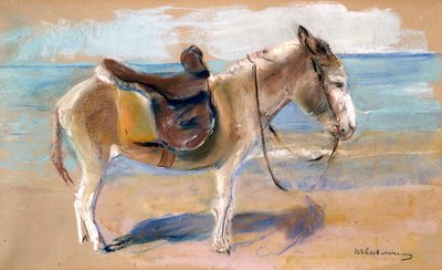 Osioł na plaży Noordwijk, 1908. autorstwa Max Liebermann