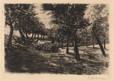 Stado owiec pod drzewami autorstwa Max Liebermann