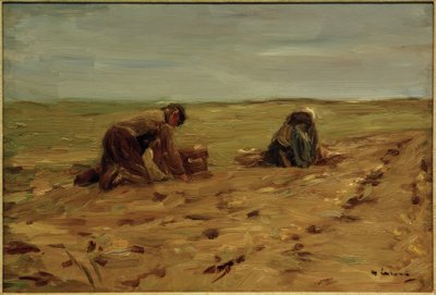 Zbiór ziemniaków na wydmach autorstwa Max Liebermann