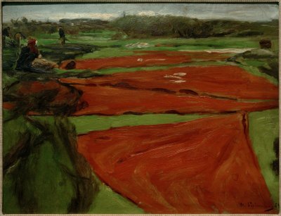 Łąka z rozłożonymi sieciami i żaglami autorstwa Max Liebermann