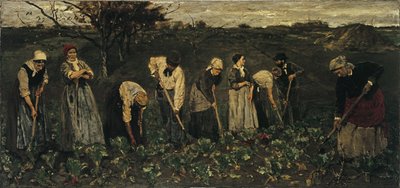 Pracownicy na polu buraków autorstwa Max Liebermann
