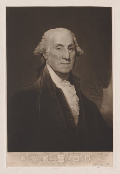 George Washington   1285119   pl       polish Successfully Translated  Original: Garden tulip, Tulipa gesneriana. Chromolithograph from an illustration by Desire Bois from Edward Step’s Favourite Flowers of Garden and Greenhouse, Frederick Warne, London Tr autorstwa Max Rosenthal