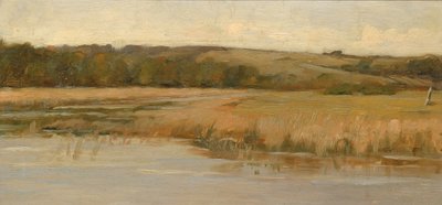 Hill and Marshland, koniec XIX i początek XX wieku. autorstwa Max Weyl