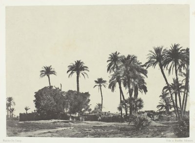 Wieś Hamameh, Górny Egipt, 184951, wydrukowany 1852. autorstwa Maxime Du Camp