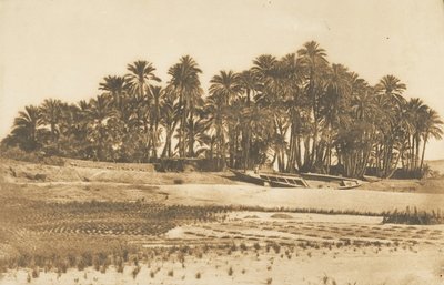 Widok na Elefantynę, naprzeciwko Asuanu, 1849-50. autorstwa Maxime Du Camp