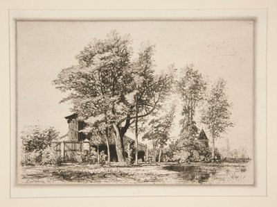 Akacja Drzewa autorstwa Maxime Lalanne