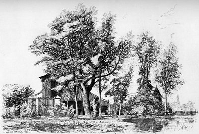 Akacje, c1850-1895 1924 autorstwa Maxime Lalanne