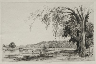 Richmond autorstwa Maxime Lalanne